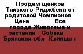 Продам щенков Тайского Риджбека от родителей Чемпионов › Цена ­ 30 000 - Все города Животные и растения » Собаки   . Брянская обл.,Клинцы г.